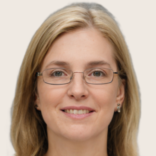 financial services persona